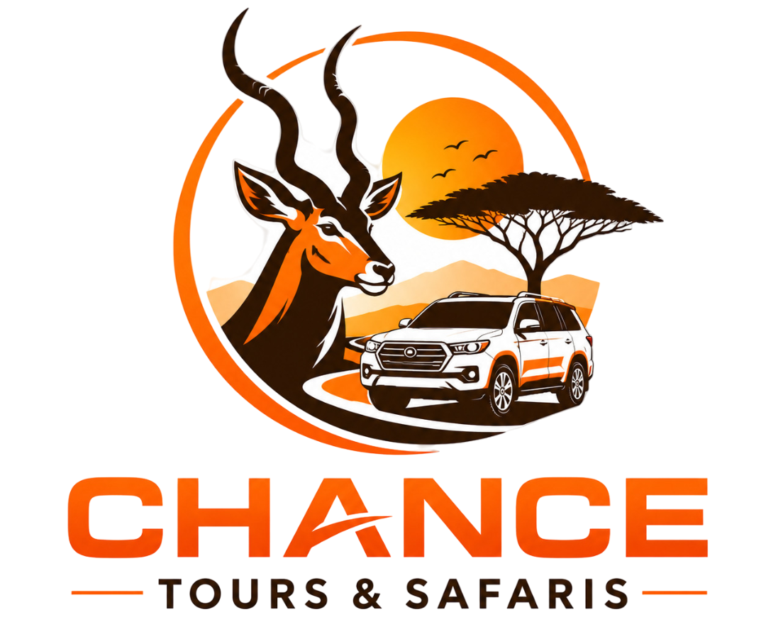 Chance Tours & Safaris